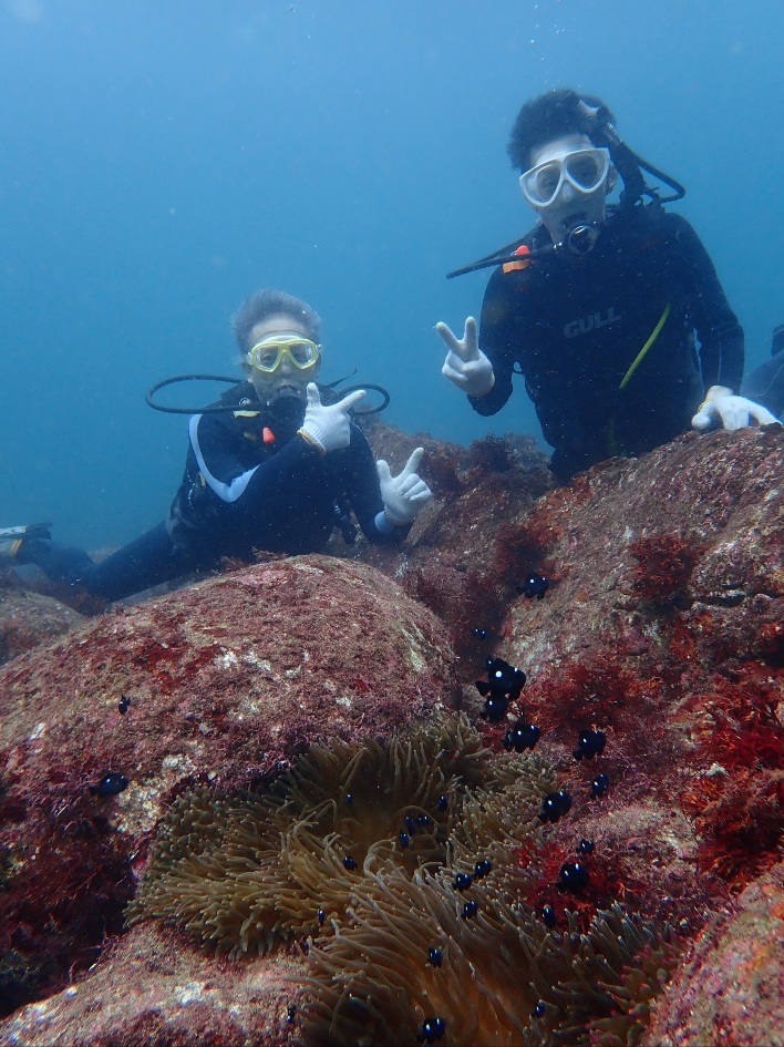 DIVE(だいぶ)イイね〜伊東ダイビング♪｜【公式】静岡県伊東市移住定住 